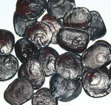 Cebil/Yopo Seeds (50)